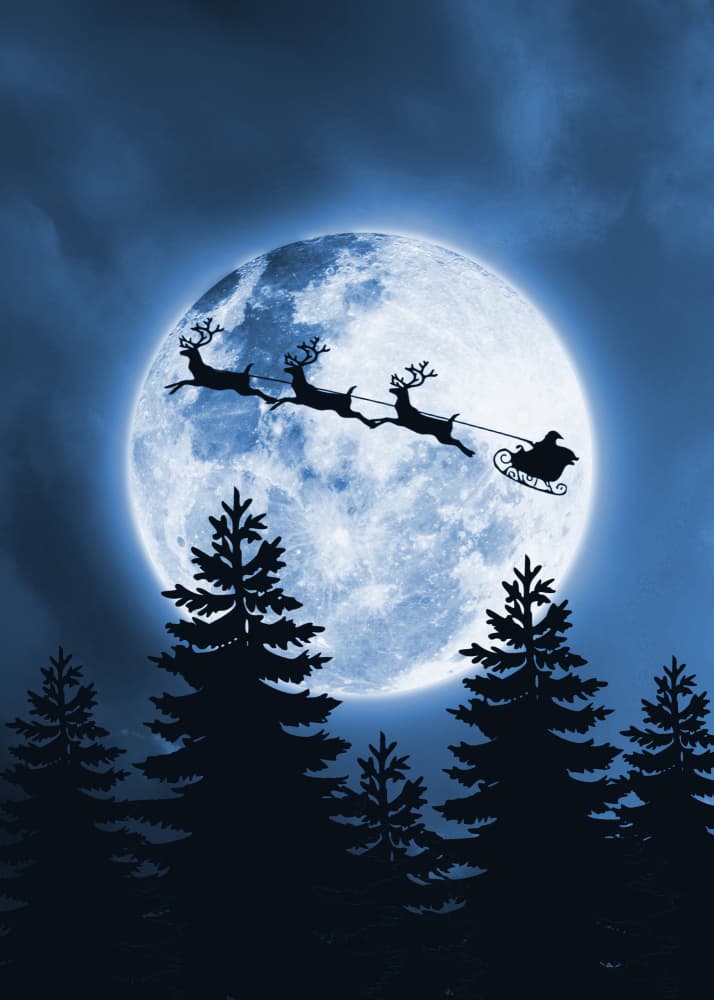 Moonlit Christmas Sleigh by Ariz Rab — canvas wall art