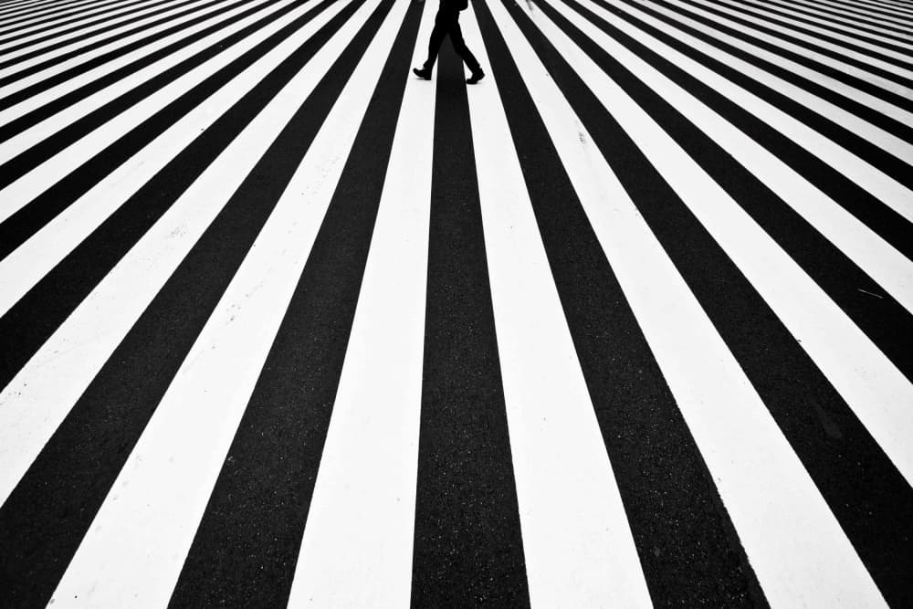 Zebra Crossing Stride by Kouji Tomihisa — canvas wall art