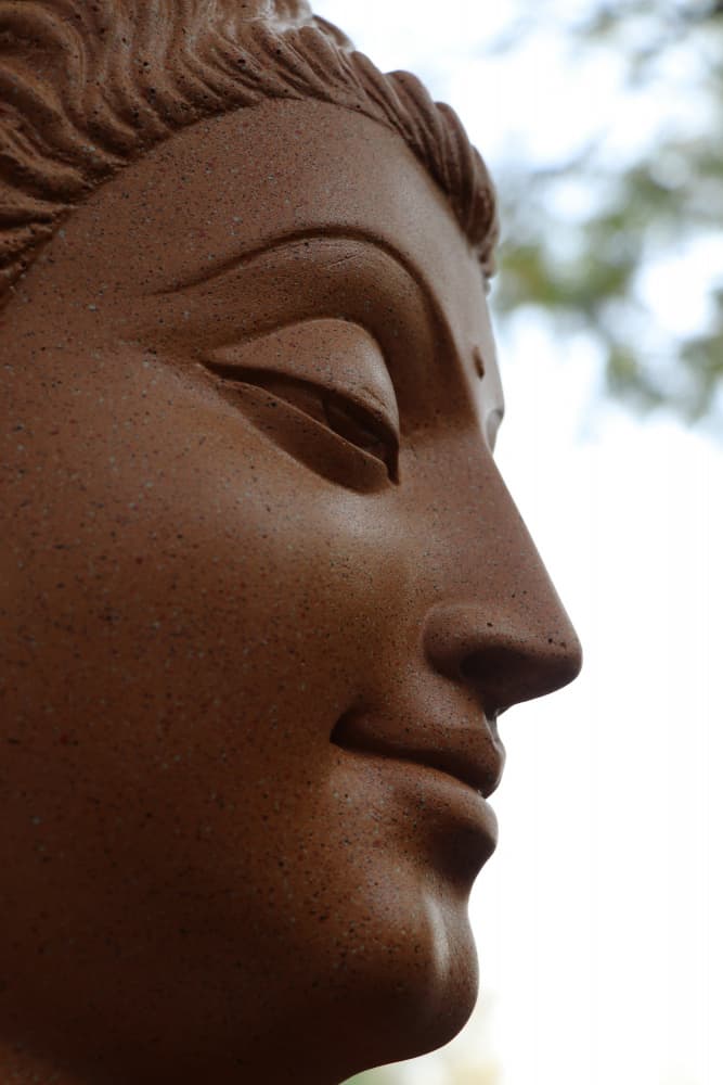 Serene Buddha Profile by Santhosh ch — canvas wall art