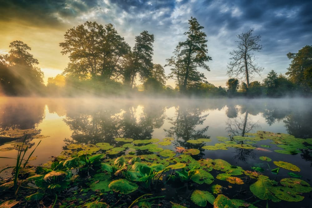 Misty Lake Sunrise by Pawel Kado — canvas wall art