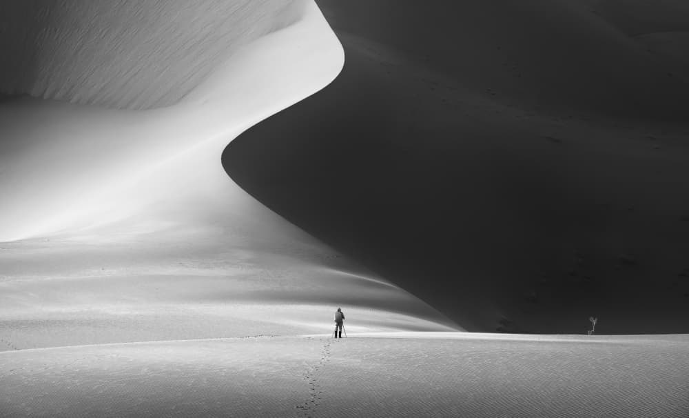 Solitary Desert Journey by 850051077 — canvas wall art