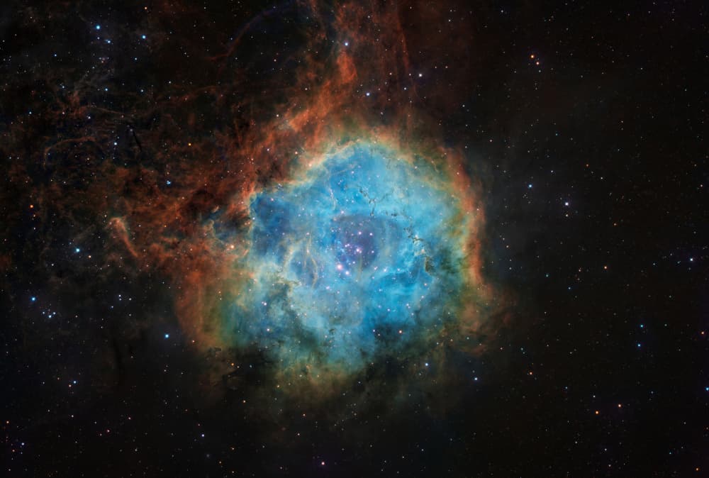 Cosmic Rose Nebula by Vikas Chander — canvas wall art