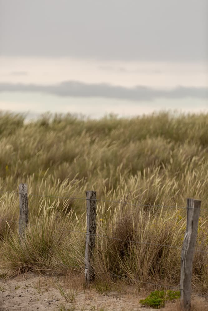 Coast Landscapes 1 by Mareike Böhmer — canvas wall art