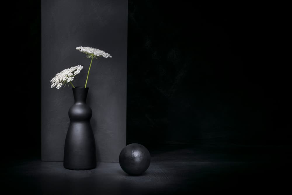 Black Vase White Blooms by Christophe Verot — canvas wall art