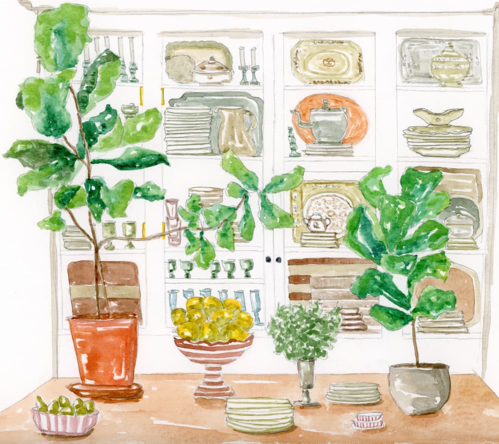 Kitchen Cabinet Plants by Breanna Megan Studio — canvas wall art