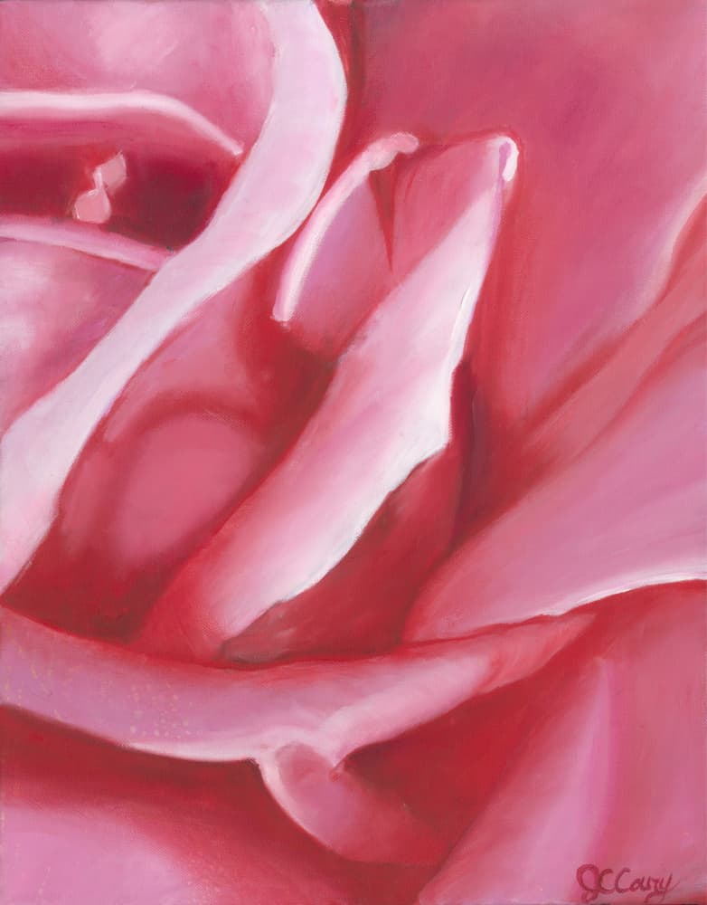 Soft Pink Rose Petals by Jillian Claire — canvas wall art