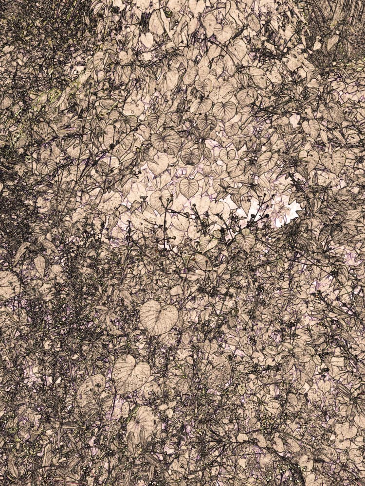 Tangled Heart Leaves by Santhosh ch — canvas wall art