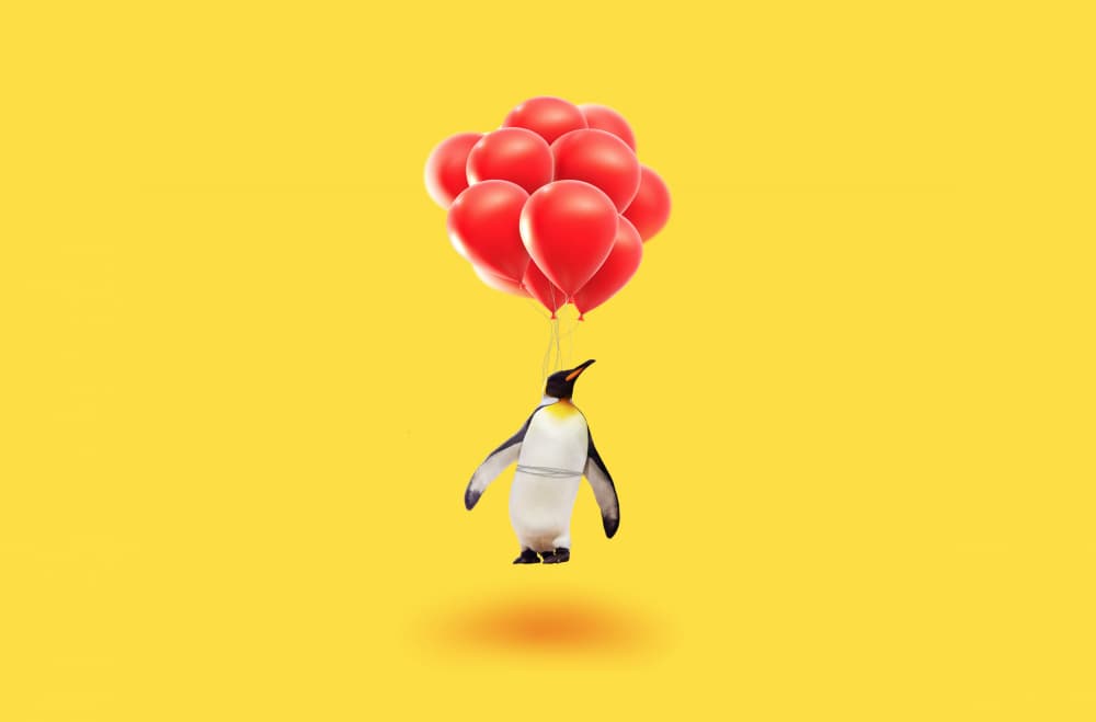 Whimsical Flying Penguin by Artem Pozdniakov — canvas wall art
