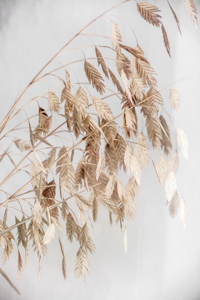 Unknown 4 by Mareike Böhmer — canvas wall art