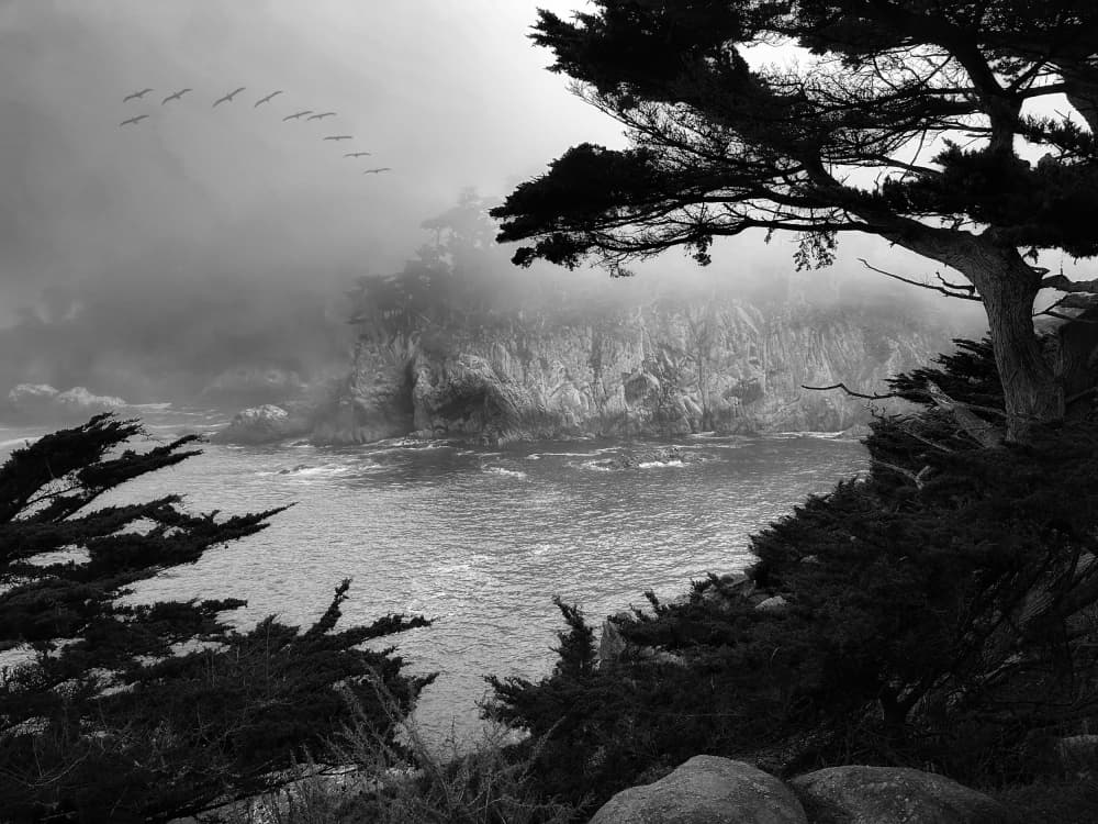 Misty Coastal Cliffs by Barbara Fletcher — canvas wall art