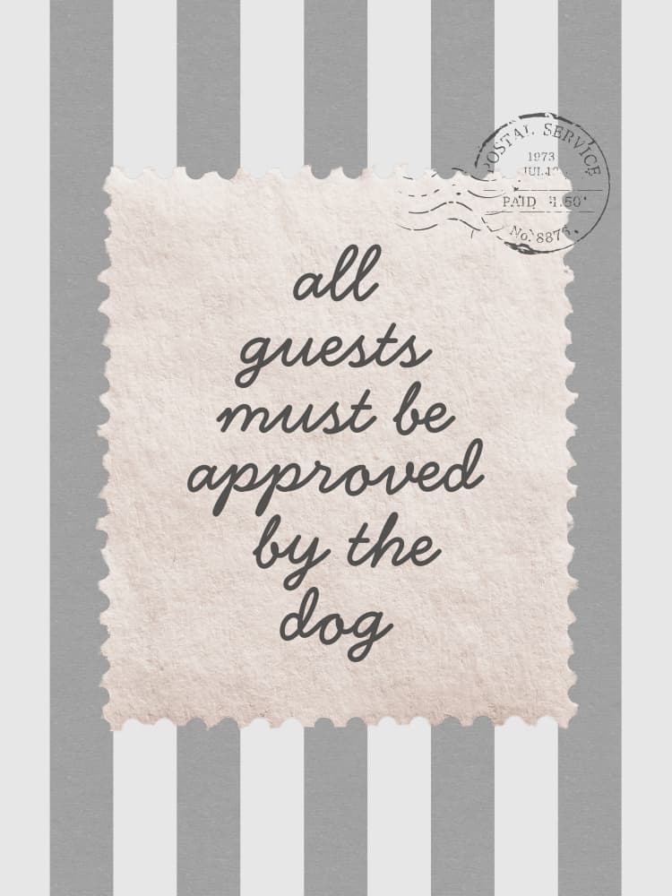 Funny Dog Rules by Jolly and Dash — canvas wall art