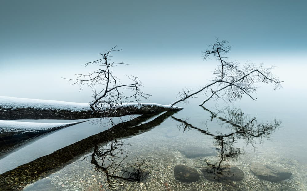 Misty Winter Lake by Ulrike Eisenmann — canvas wall art