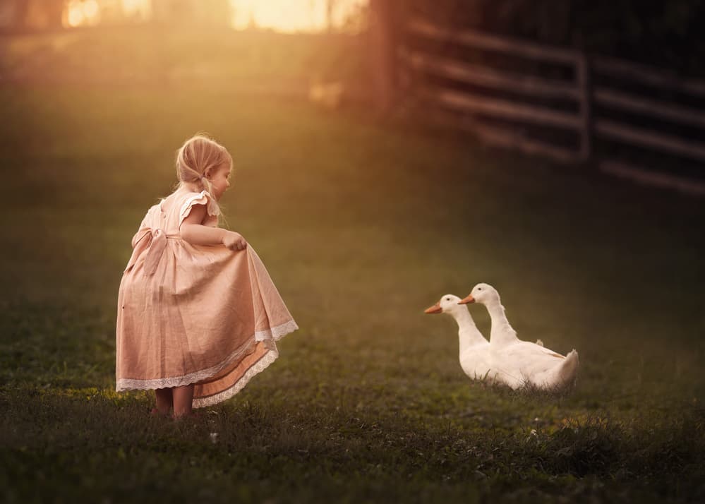 Little Girl And Ducks by Annie Whitehead — canvas wall art