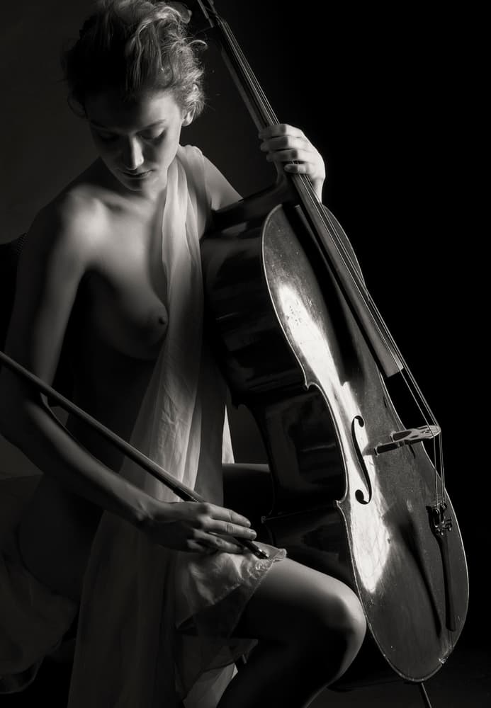 Elegant Cello Player by James Yang — canvas wall art