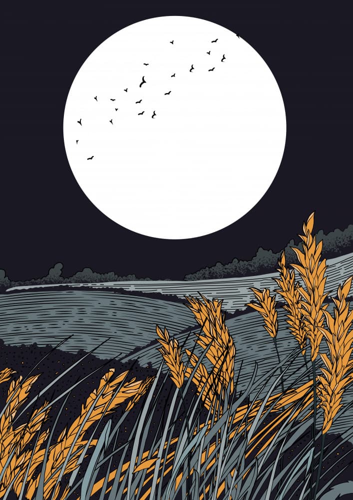 Moonlit Wheat Field by Nicholas — canvas wall art