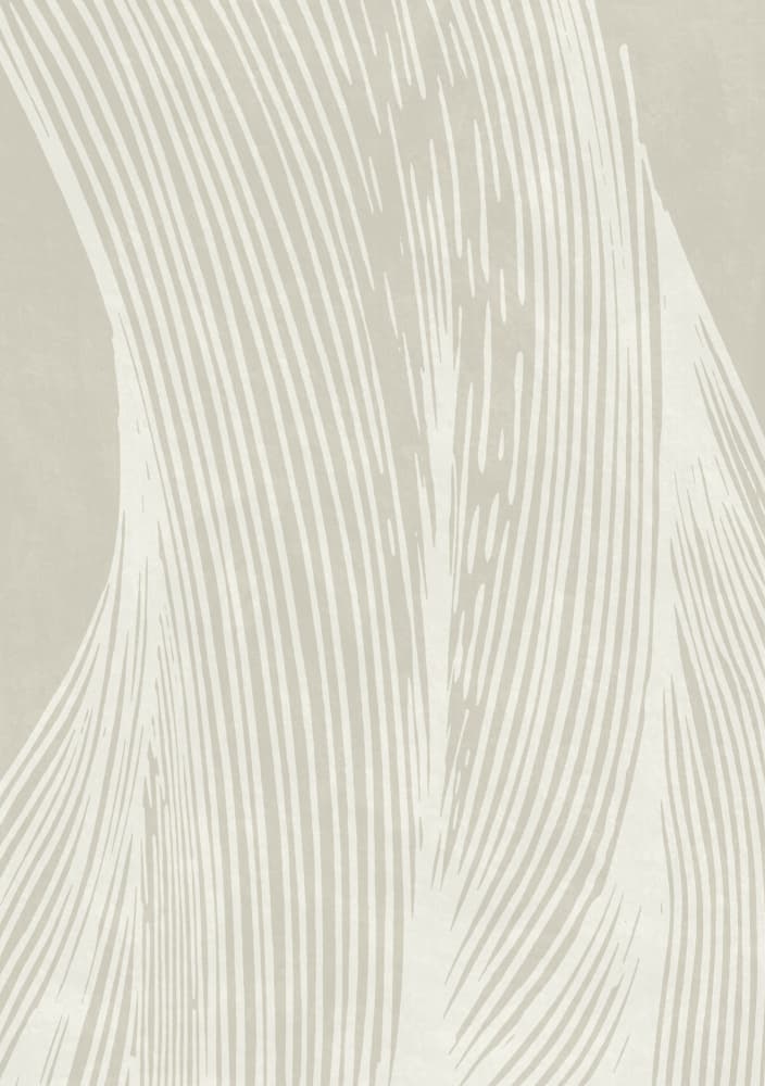 Gentle Flowing Lines