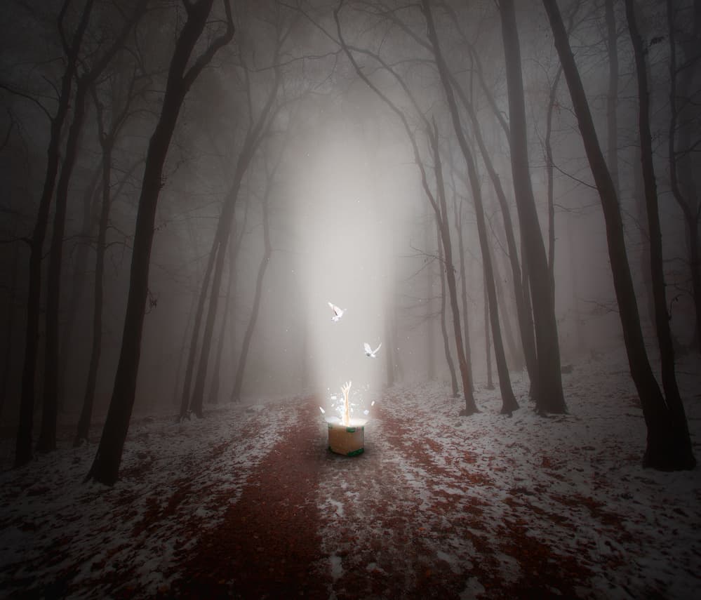 Misty Forest Magic by Martin Marcisovsky — canvas wall art