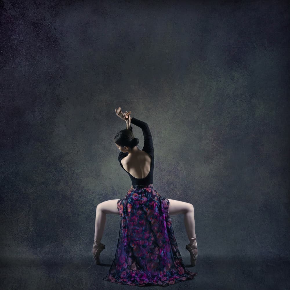 Elegant Ballet Pose by Moein Hasheminasab — canvas wall art