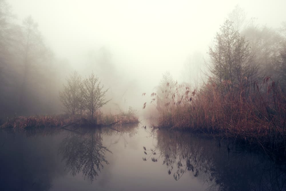 Misty Lake Reflections by Pawel Kado — canvas wall art