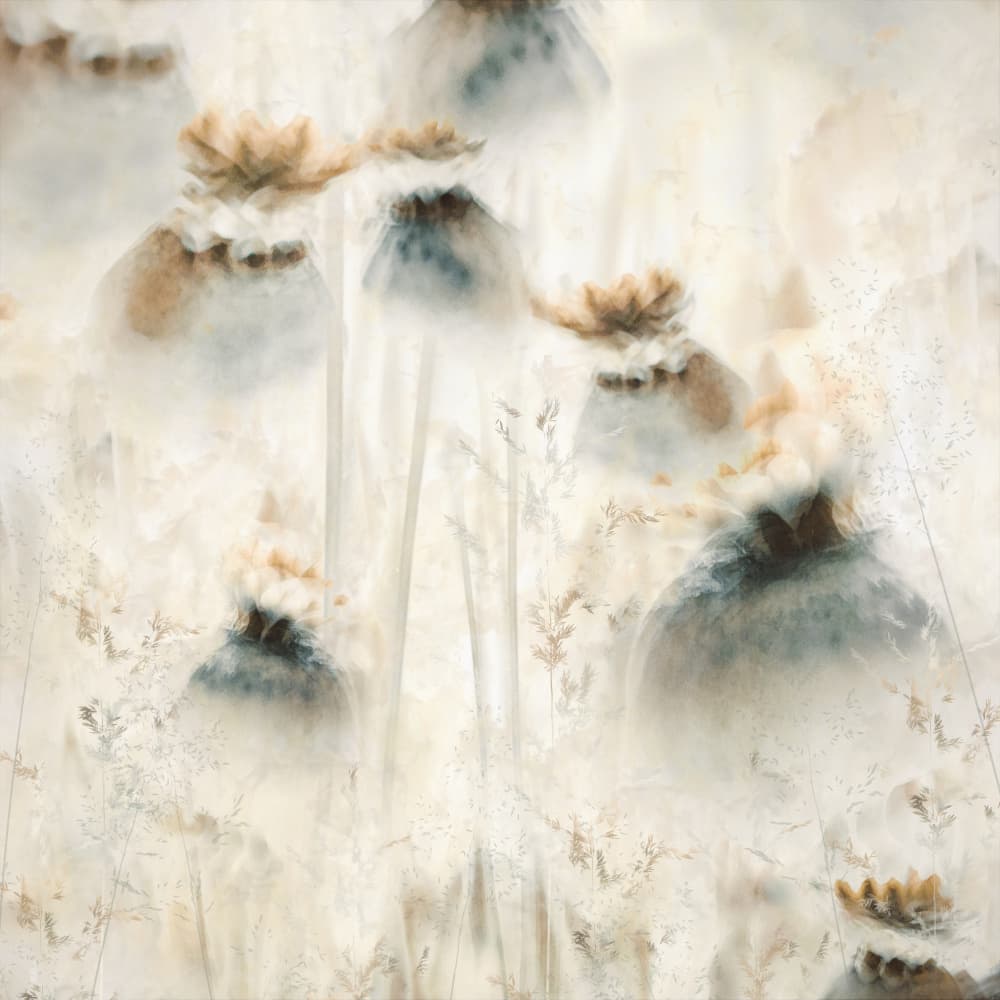 Seed pods by Nel Talen — canvas wall art