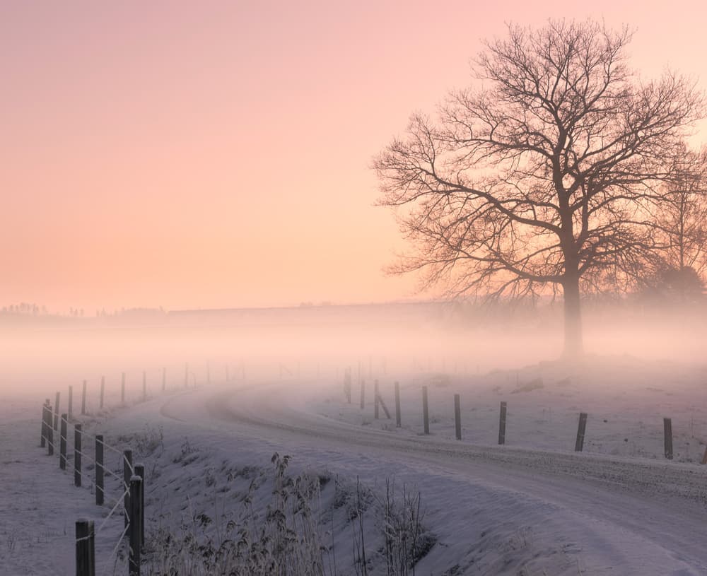 Misty Winter Road by Christian Lindsten — canvas wall art