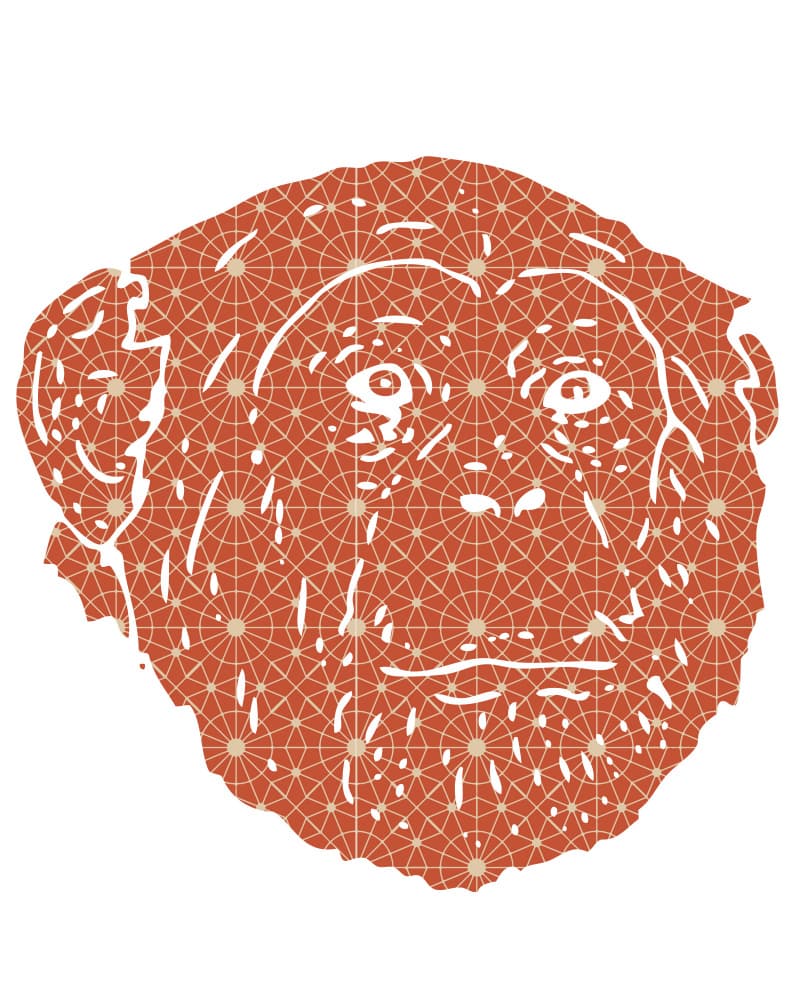 Geometric Chimpanzee Face by Emiliano Deificus — canvas wall art