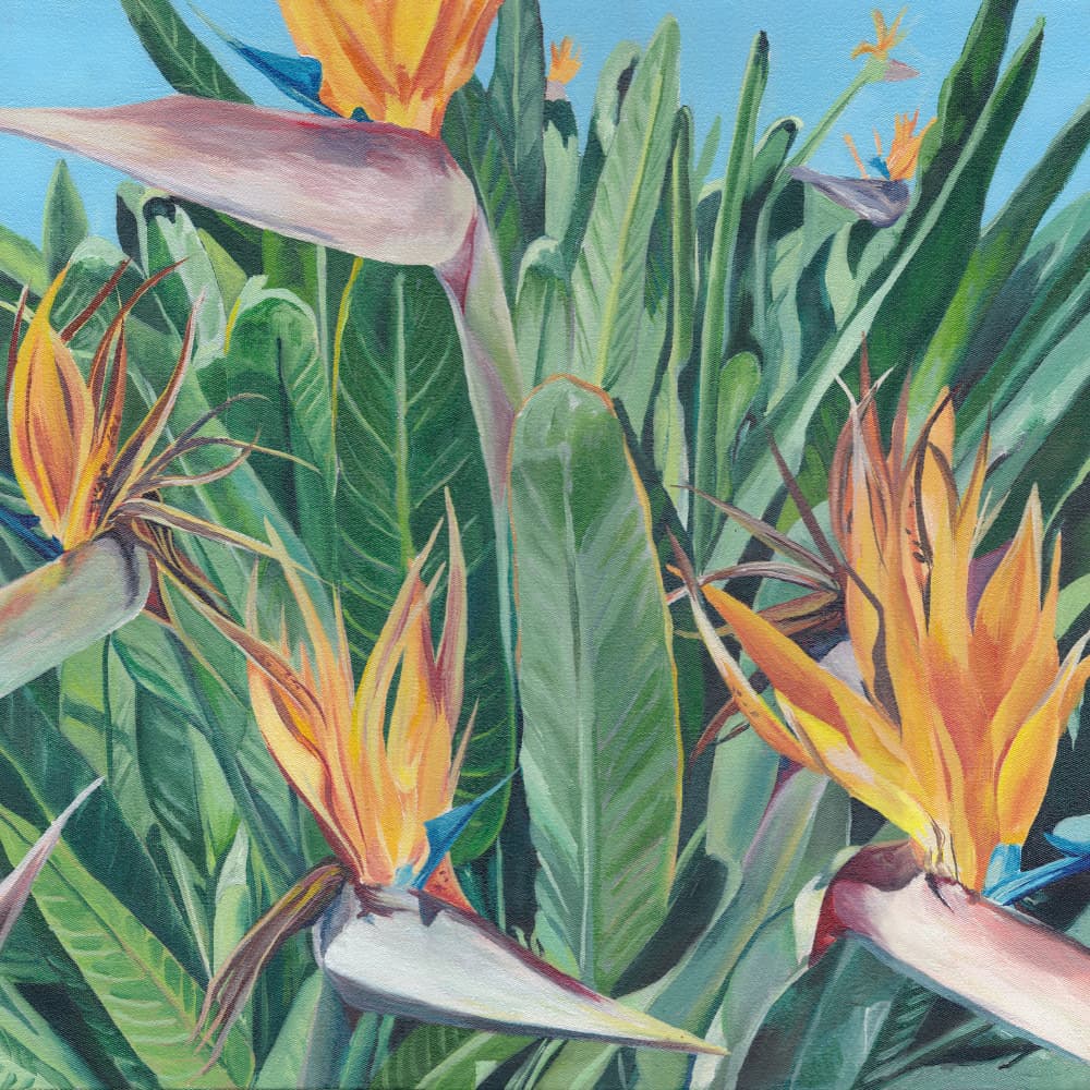 Vibrant Bird of Paradise by Viccy Wanliss — canvas wall art