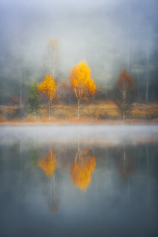 Misty Autumn Reflections by Anghel Rusu — canvas wall art