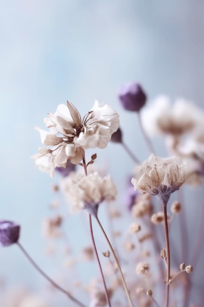 Whispering Blooms by Treechild — canvas wall art