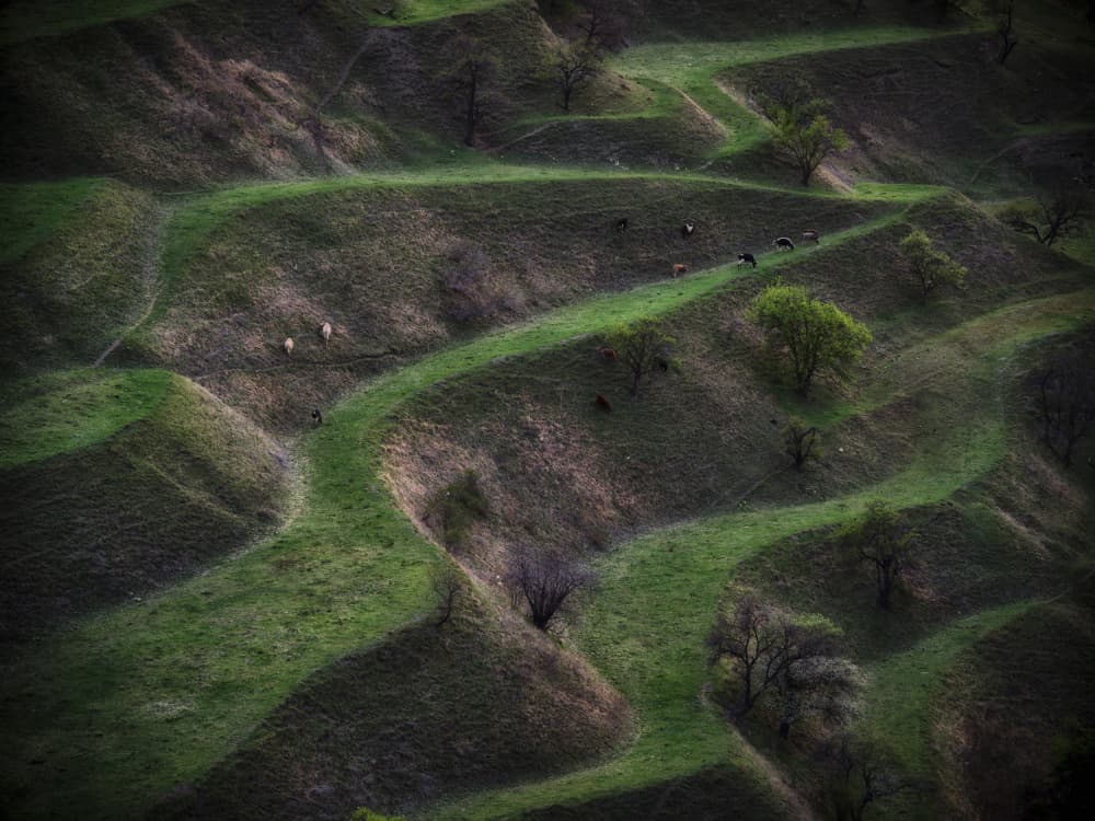 Rolling Green Hills by Ivan A. Godovikov — canvas wall art