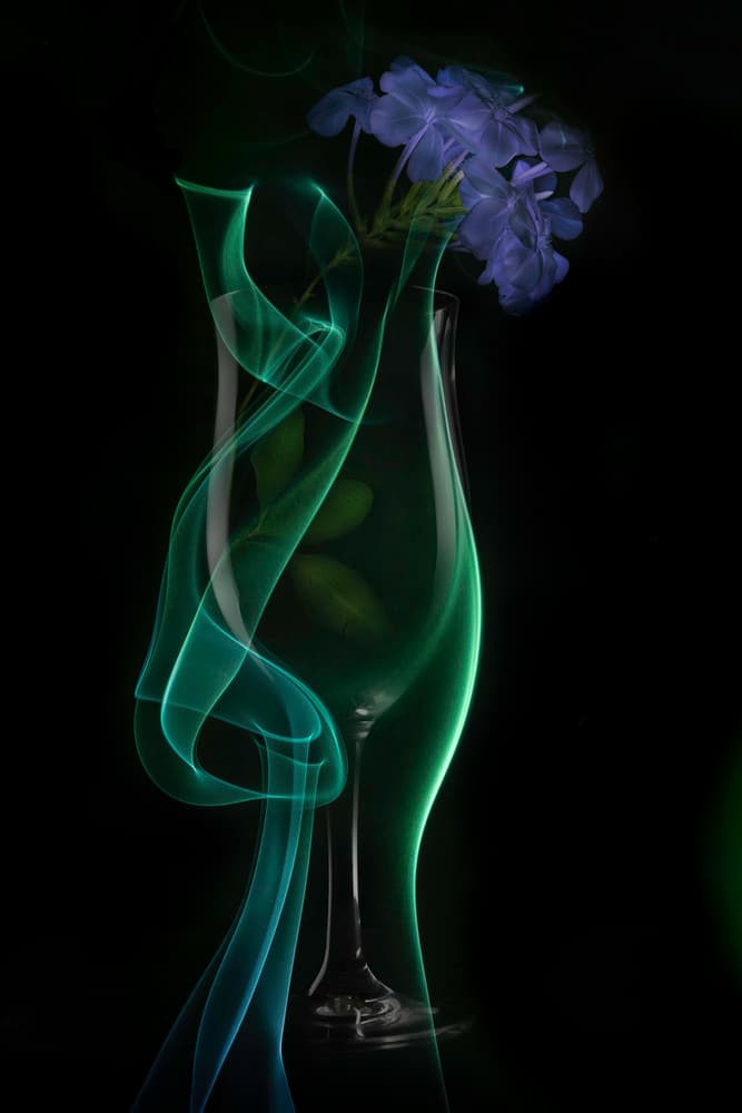 Elegant Smoke Bloom by Azriel Yakubovitch — canvas wall art