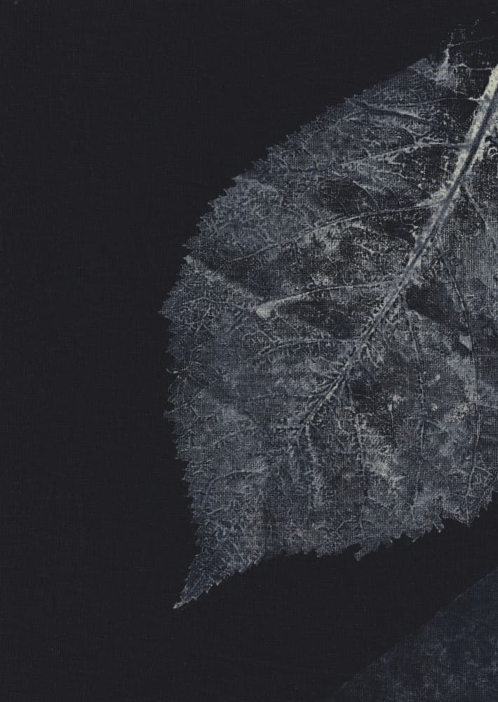 Dark Leaf Veins by Maira Ribena — canvas wall art