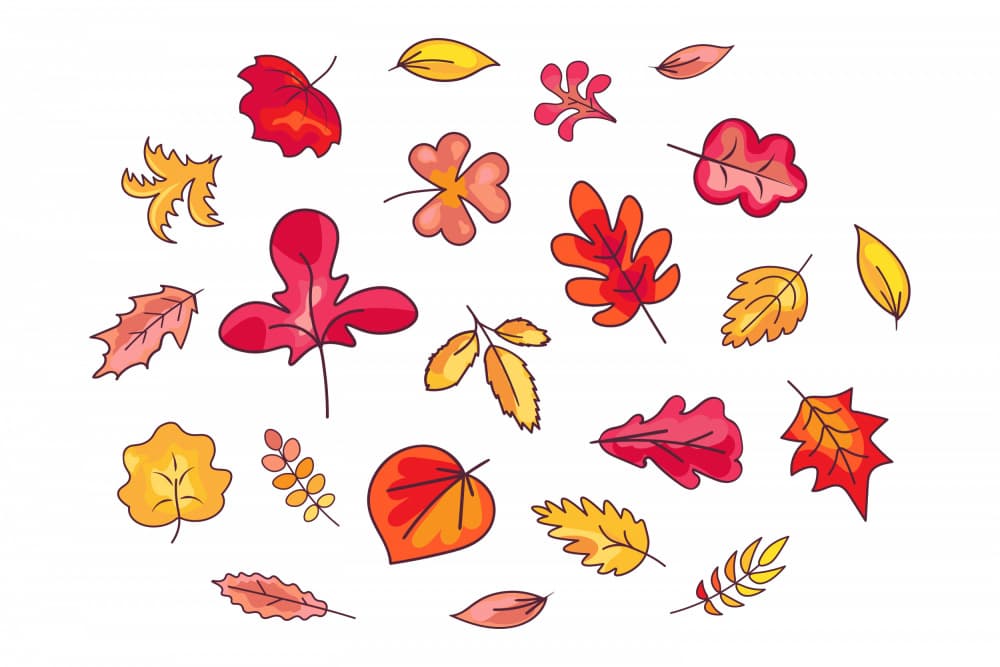 Vibrant Autumn Leaves by Marika Barsrsind — canvas wall art