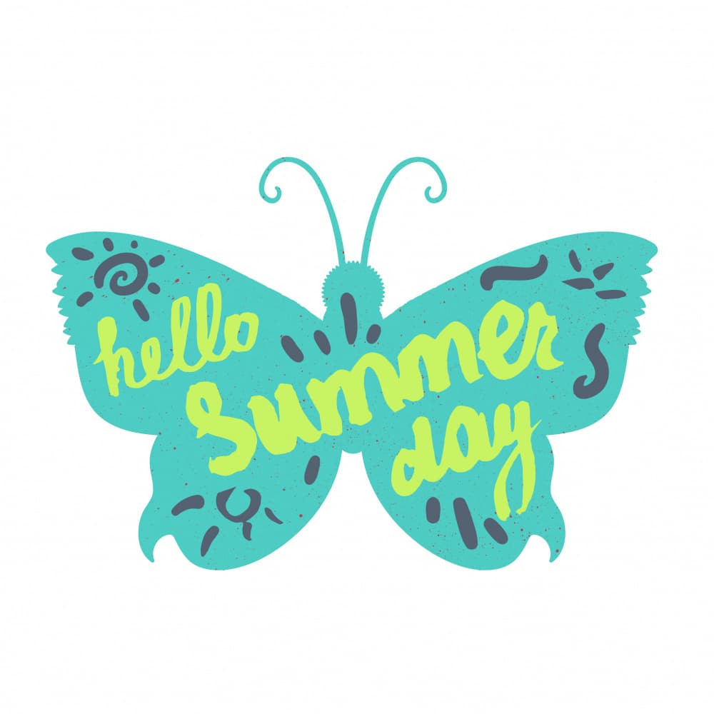 Hello Summer Butterfly by Marika Barsrsind — canvas wall art