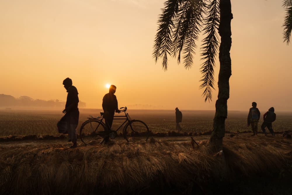 Golden Morning Silhouettes by Md. Arifuzzaman — canvas wall art