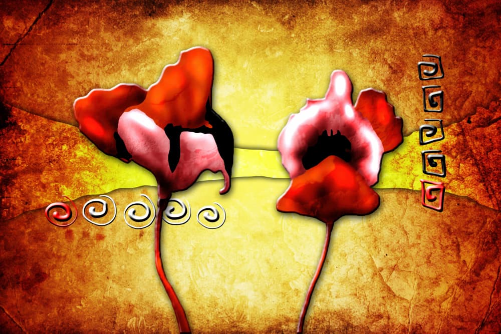 Warm Bloom Duo by Rafal Kulik — canvas wall art
