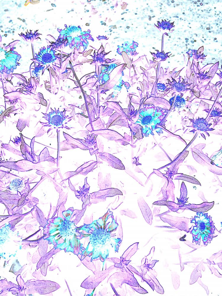 Vibrant Floral Dream by Santhosh ch — canvas wall art