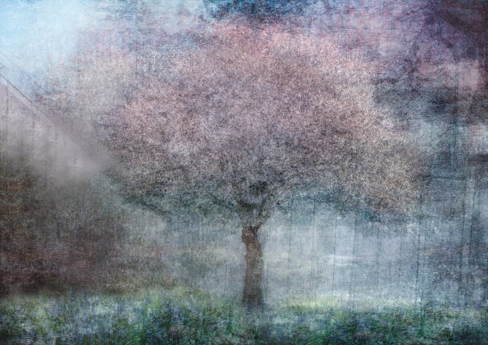 Misty Dream Tree by Katarina Holmström — canvas wall art