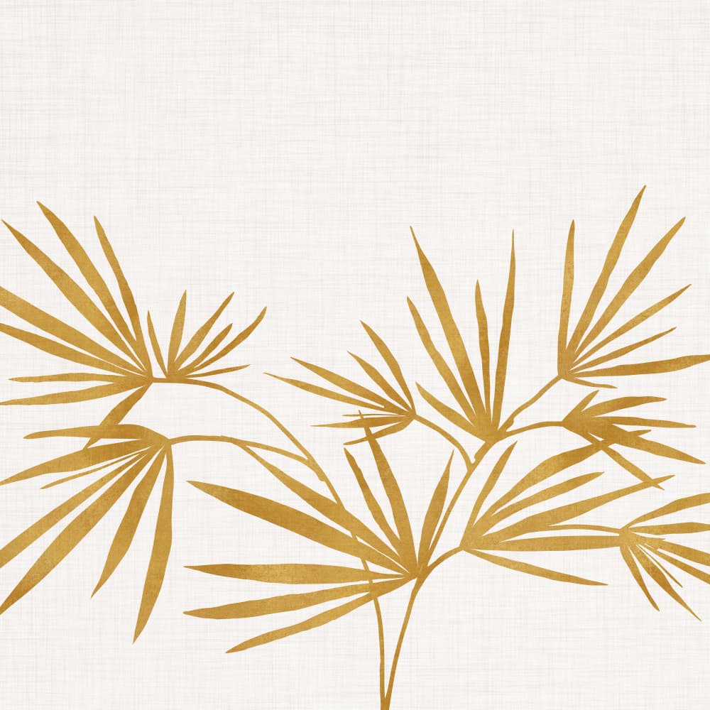 Gold Fan Palm by Kristian Gallagher — canvas wall art