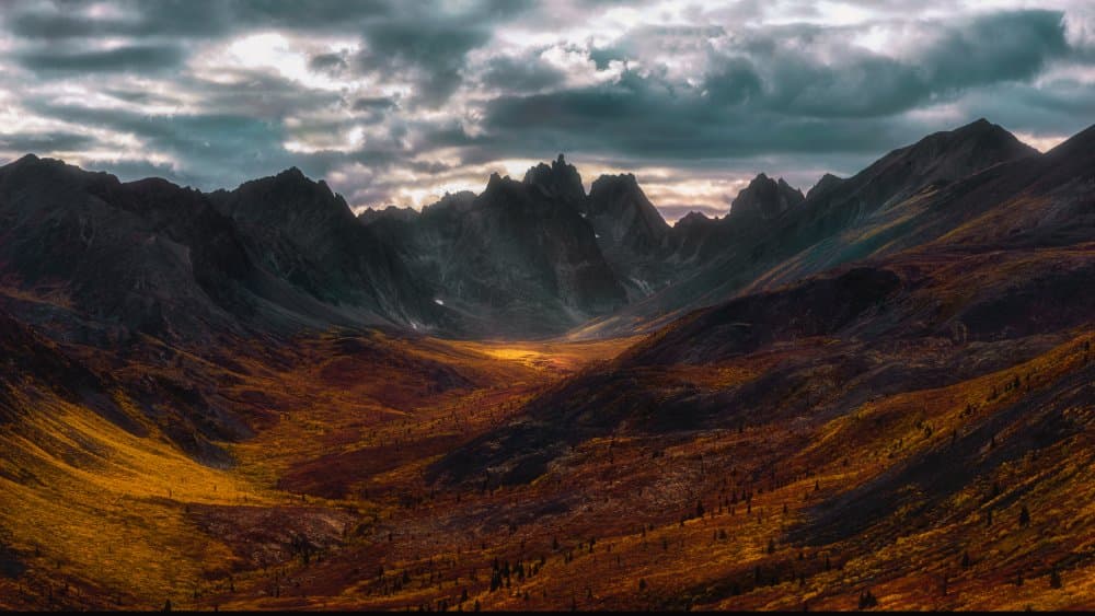 Golden Autumn Valley by Jenny L. Zhang — canvas wall art