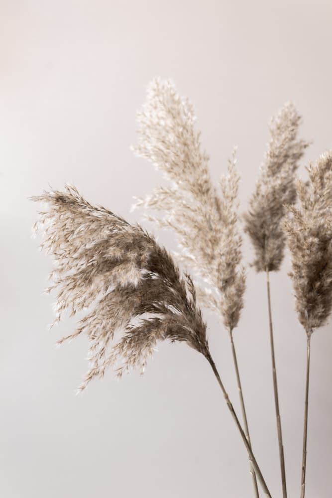 Grass 24X by Mareike Böhmer — canvas wall art