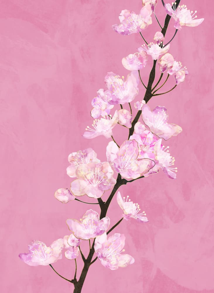 Blooming Pink Branch by Sarah Manovski — canvas wall art