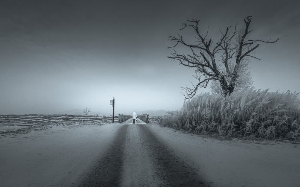 Solitary Walk Empty Road by Irene Wu — canvas wall art