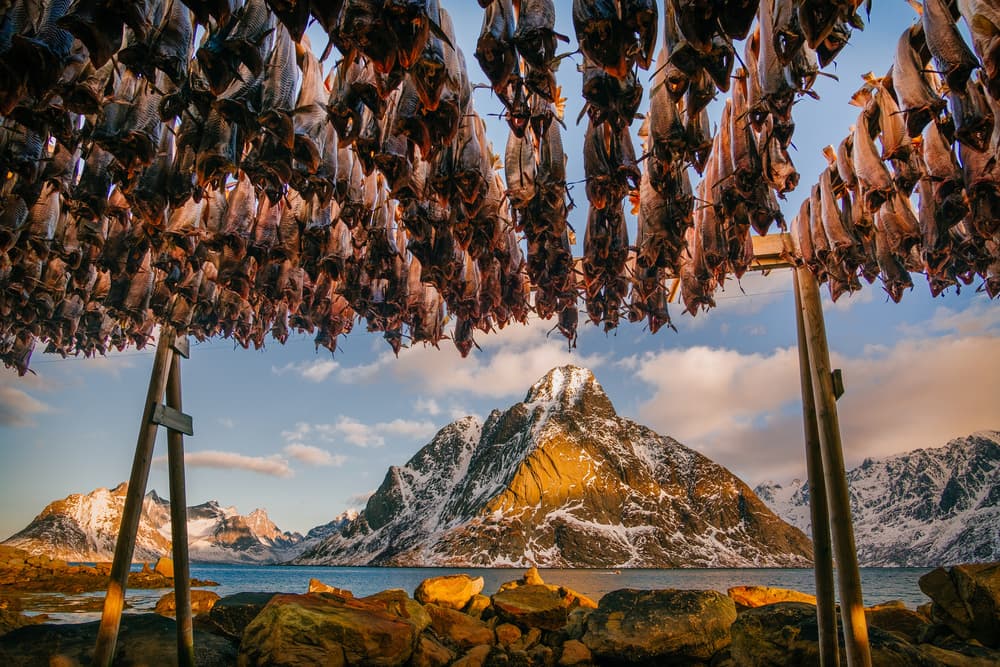 Nordic Fish Drying Landscape by Adrian Popan — canvas wall art