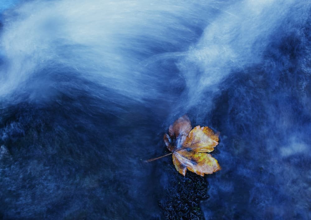 Autumn Leaf Blue Flow by Michel Manzoni — canvas wall art