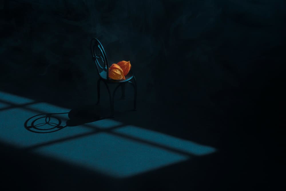 Orange Pods Still Life by Lydia Jacobs — canvas wall art