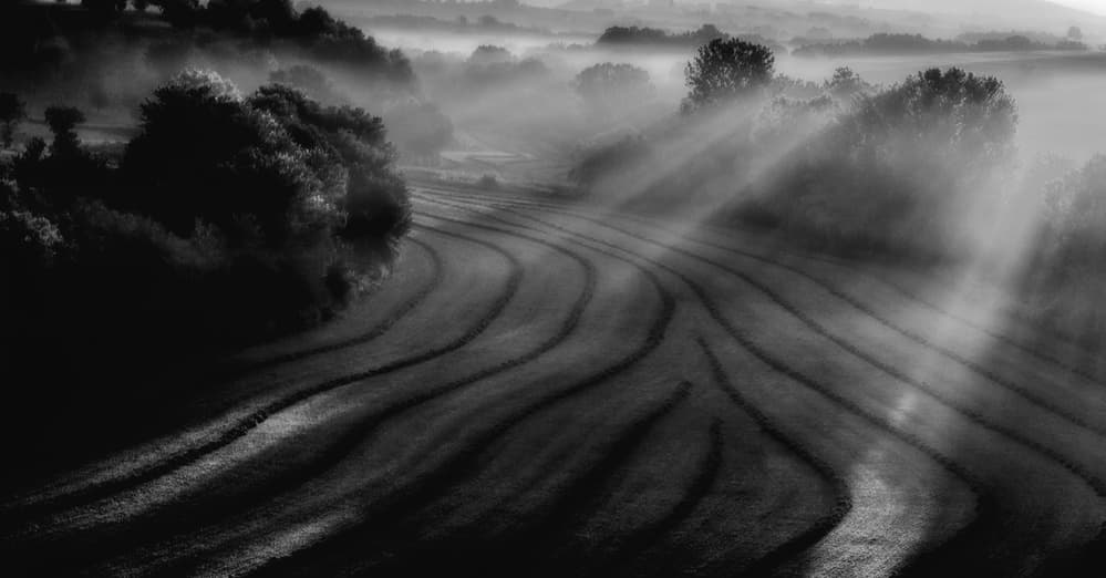 Sunlit Foggy Fields by Antonio Zaccagnino — canvas wall art