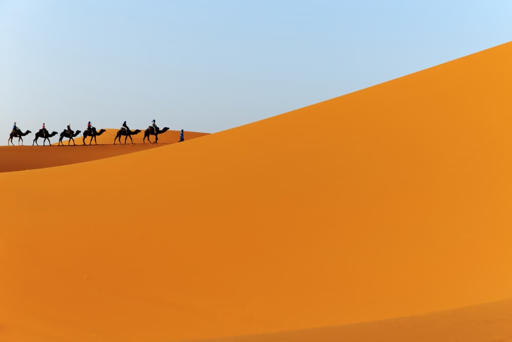 Desert Camel Caravan by Massimo Mei — canvas wall art