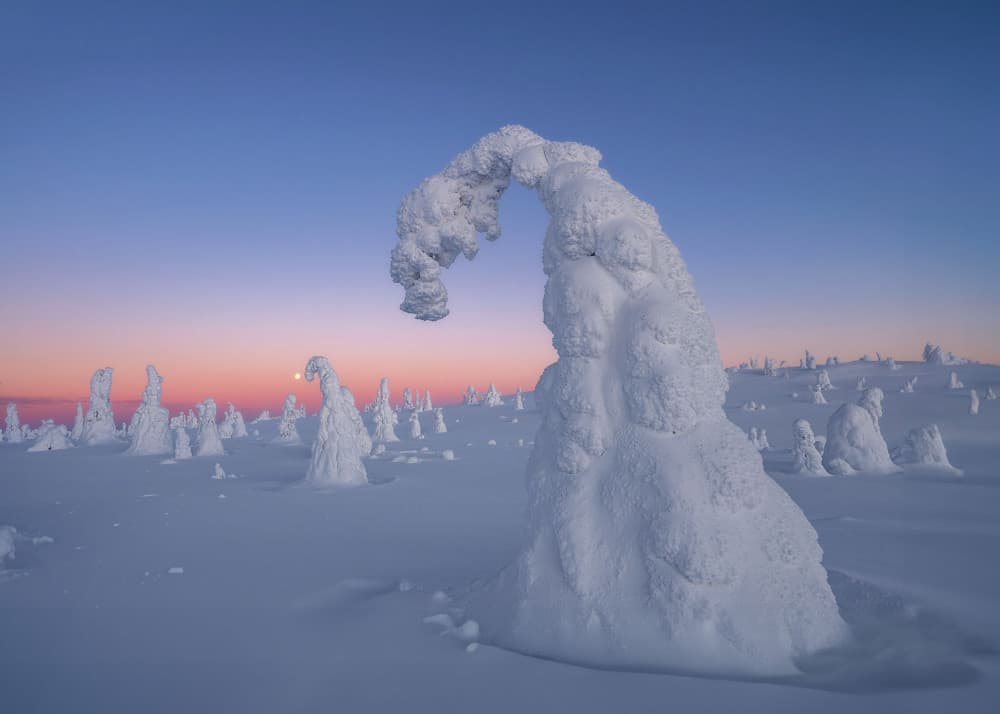 Arctic Archway Glow by Jennifer Lu — canvas wall art