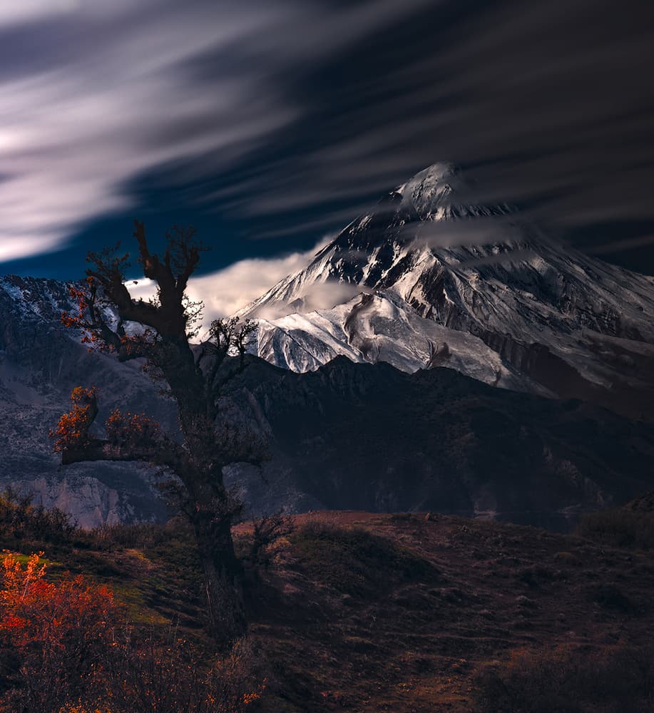 Majestic Peak Lone Tree by Majid Behzad — canvas wall art
